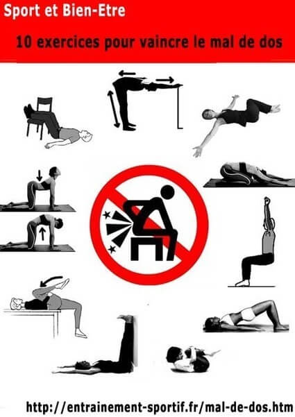 exercices pour renforcer le dos
